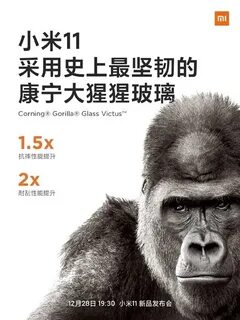 Corning gorilla glass victus