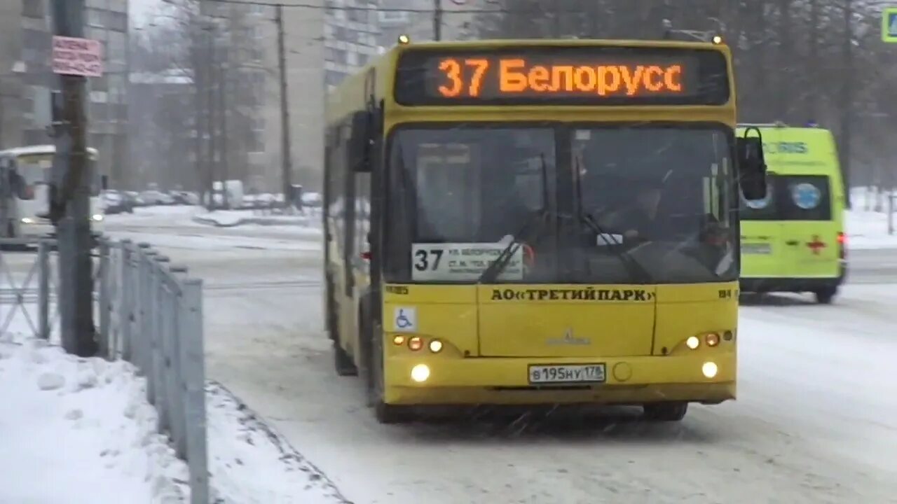 37 автобус изменения. Автобус 37 СПБ. МАЗ 103 37 маршрут. Маршрут 37 автобуса СПБ.