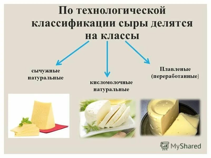 Сыр из молока и сычужного фермента. Сыр из молока и сычужного фермента