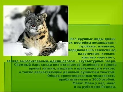 Редкие и исчезающие животные 4 класс