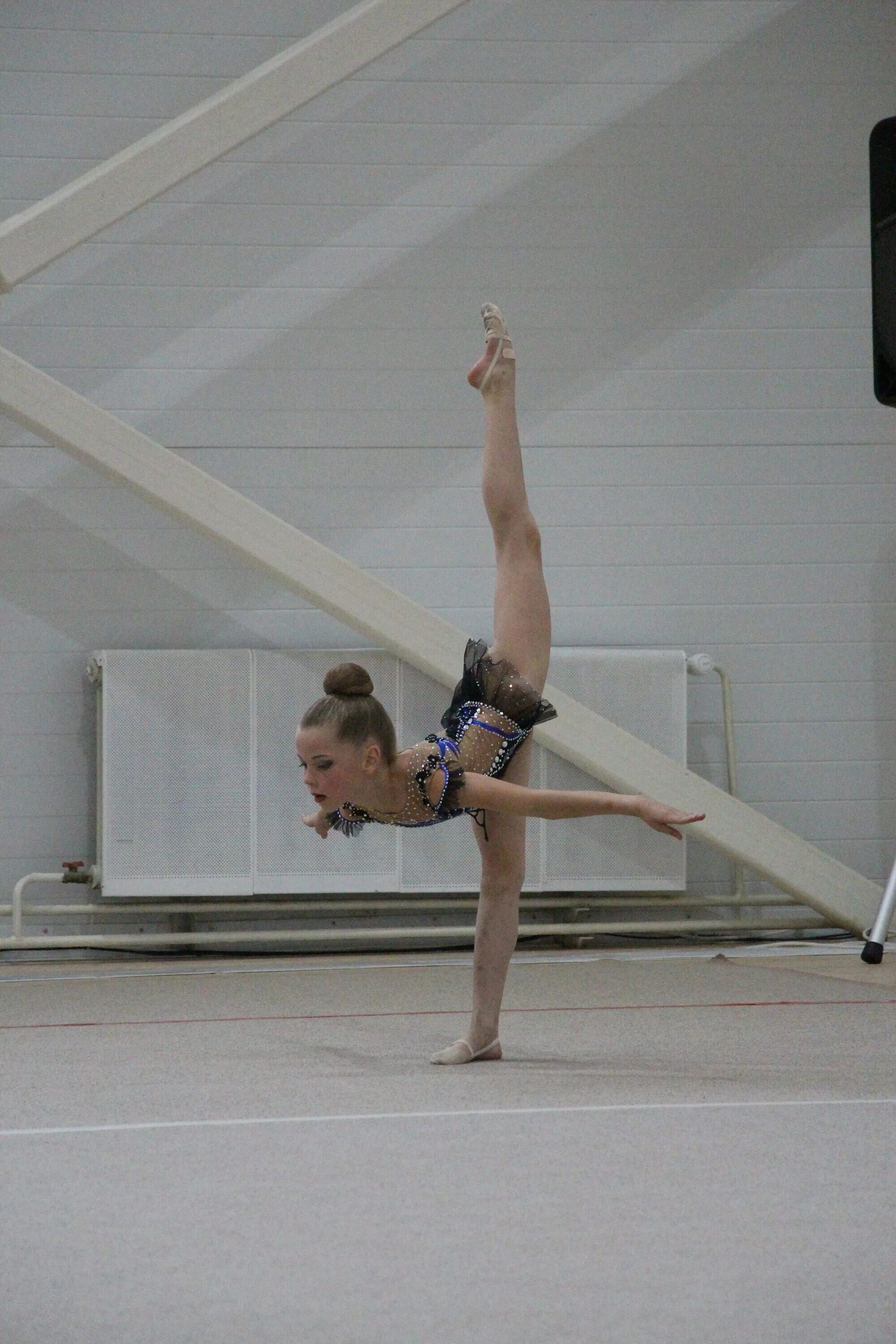 Клуб каратэ. Балашиха спорткомплекс орион. Секции в железнодорожном. Каратэ ореон томск. Спортзал динамо бокс.