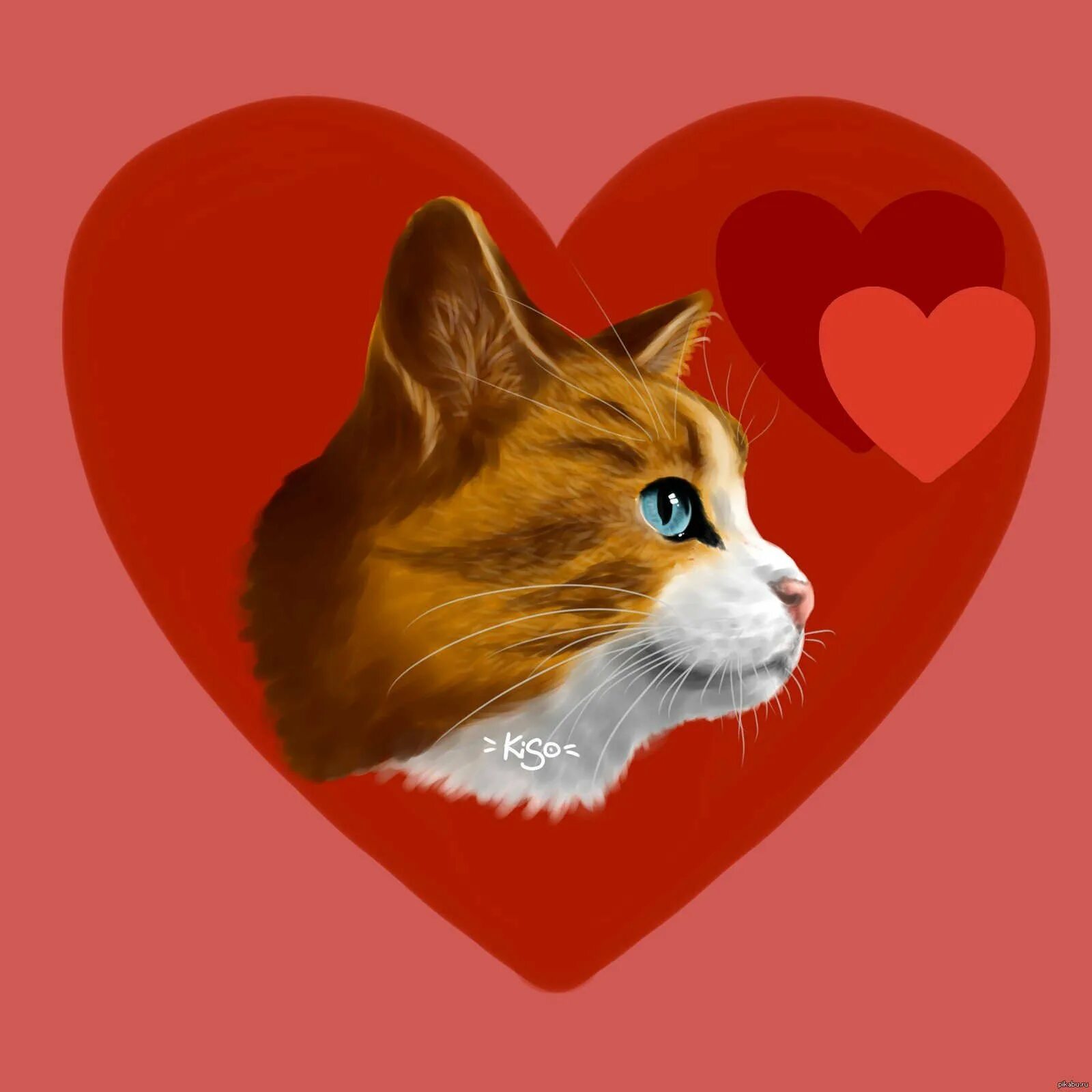 Сердечные коты