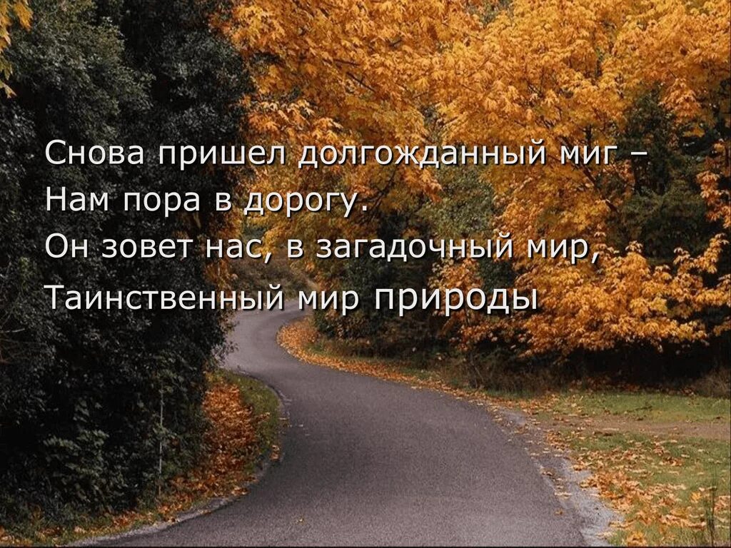 Пришла желанная пора. Во глубине сибирских руд храните гордое терпенье. Весенняя радость. Пришла желанная пора. Стих пушкина сибирских руд.