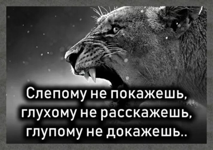 Жил глухой слепой. Жил глухой слепой. Слепой сказал глухому. Жил глухой слепой. Цитаты про дебилов.