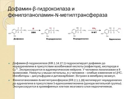 Адреналина мало