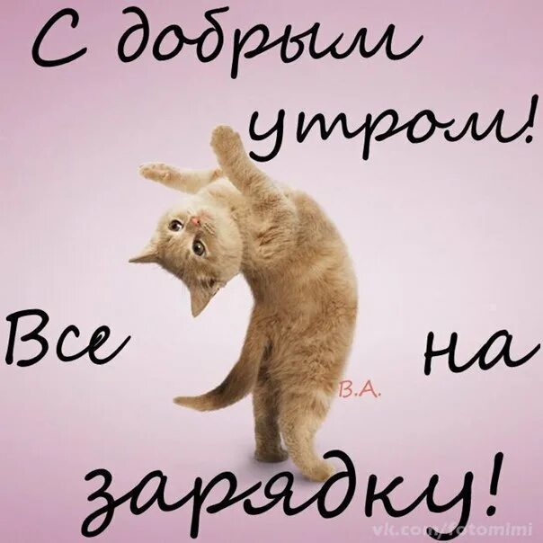 забавные открытки с добрым утром. привет пора вставать. котенок с часами. привет пора вставать. открытки с добрым февральским утром.