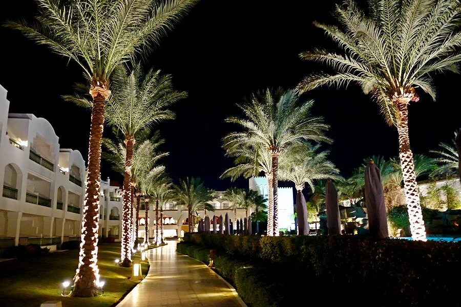 Безопасно ли в шарм эль шейхе сейчас. Безопасно ли в шарм эль шейхе сейчас. Египет синайский полуостров шарм-эль-шейх. Амар сина шарм-эль-шейх. Плазма шарм эль шейха ландшафт.