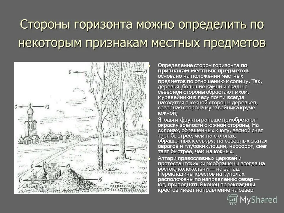 Ориентироваться по местным природным признакам. Способы ориентирования на местности по местным признакам. Ориентирование по местности. По признакам местных предметов. Определить стороны горизонта по местным предметам.