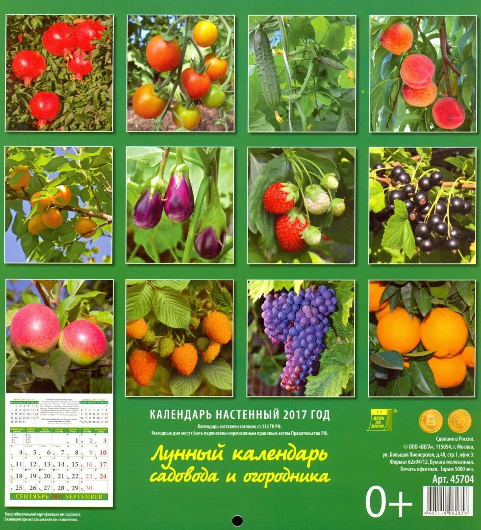 Календарь огородника на 2017 год. Лунный календарь садовода огородника 2017