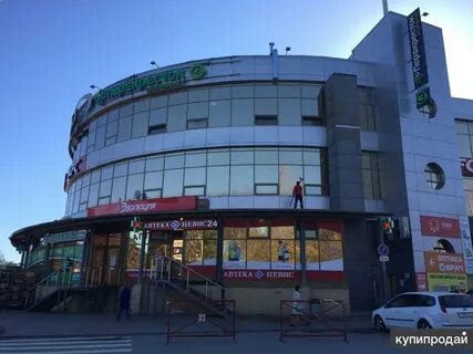Галактика сосновый бор