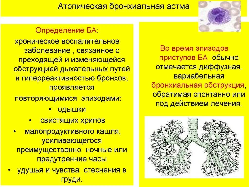 Атопический дерматит бронхиальная астма. Неатопичнская форма бронхиальной астмы. атопическая бронхиальная астма аллергены. аллергены при атопической бронхиальной астме. атопическая бронхиальная астма симптомы.