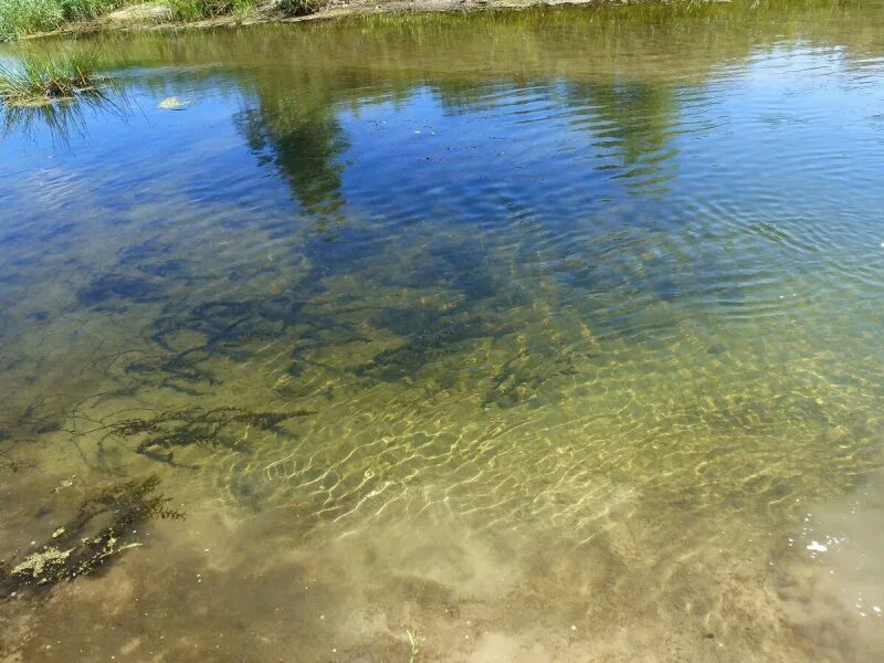 Скачать обои зелень, деревья, река, Природа, красота, горная река, камни в воде,