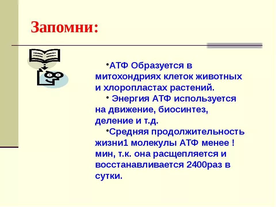 Клетка содержит атф. АТФ это в биологии. Как расшифровывается АТФ В биологии. Презентация на тему АТФ. Продолжительность жизни молекулы АТФ.