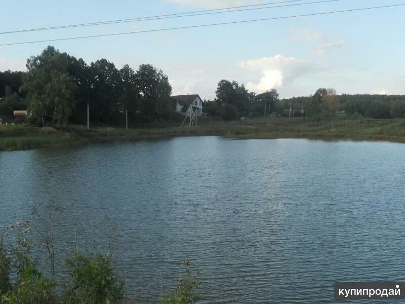 Клушино участок купить. Ишино чеховский район озеро. Ишино чеховский район фото. Купить дом в новое ишино. Купить коттедж в ишино чеховского района.