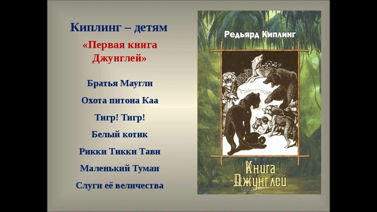 Откуда у глотка киплинг. Братья Маугли Редьярд Киплинг книга. Первая книга джунглей Киплинг. Киплинг Маугли презентация. Киплинг книга Маугли презентация.