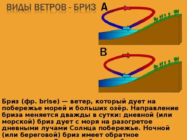 Виды ветров. Дневной Бриз направление ветра. Виды ветров Бриз. Дневной Бриз дует в направлении. Воздух меняет направление