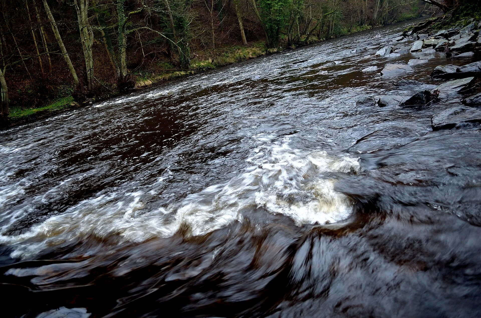 Сонник текущая вода. Текущая вода. Течение воды. Текучие воды. Вода течет.