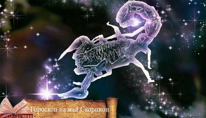 Гороскоп на 9 января 2024 скорпион. 23 октября знак зодиака весы или скорпион. Высказывания про скорпионов. Знак зодиака скорпион. Скорпион цитаты.