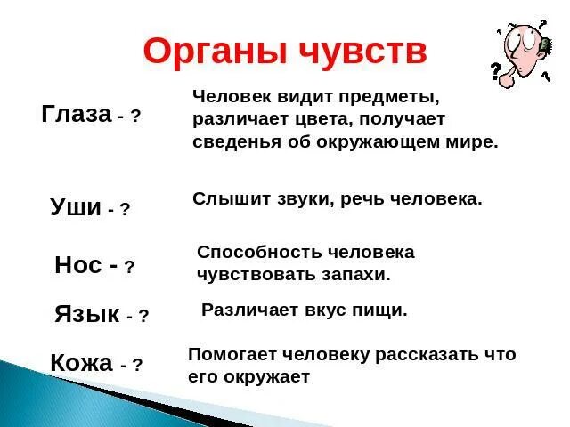 Тест органы чувств 9 класс. Органы чувств 4 класс. Органы чувств человека 4 класс. Органы чувств человека 4 класс окружающий. Доклад на тему органы чувств человека.