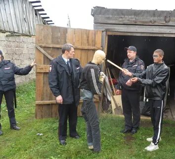 Область криминала