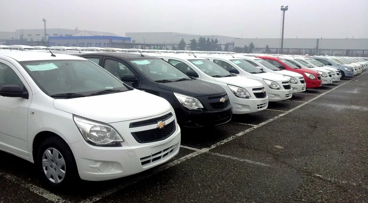 Uz avto savdo. Узбекистан кобальт нархи. Chevrolet Cobalt NARXLARI. Кобальт Шевроле GM Uzbekistan. Chevrolet Cobalt 2023 narhi uzbekiston.