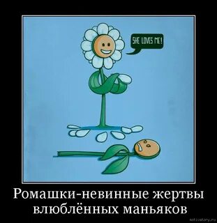 Невинная жертва