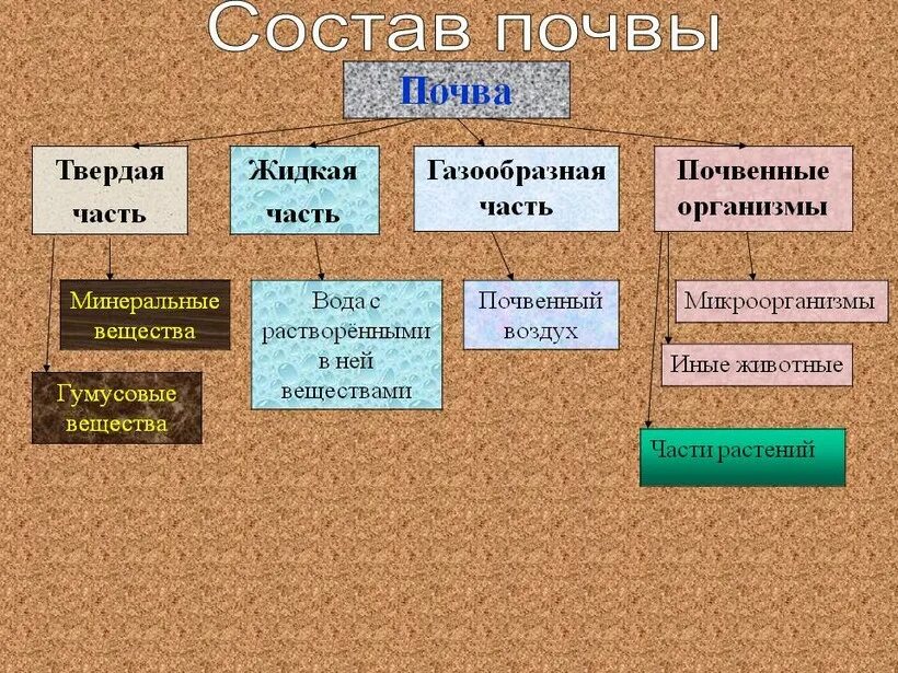 Почва состоит из. Составные части почвы. состав почвы. твердая часть почвы. кластер почва.