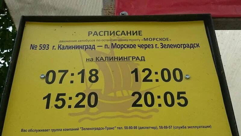 Расписание 210 зеленоградск. Автобус 593 Калининград Морское расписание. Автобус Калининград Морское. Расписание автобусов Зеленоградск Морское. Автобус Зеленоградск Морское.