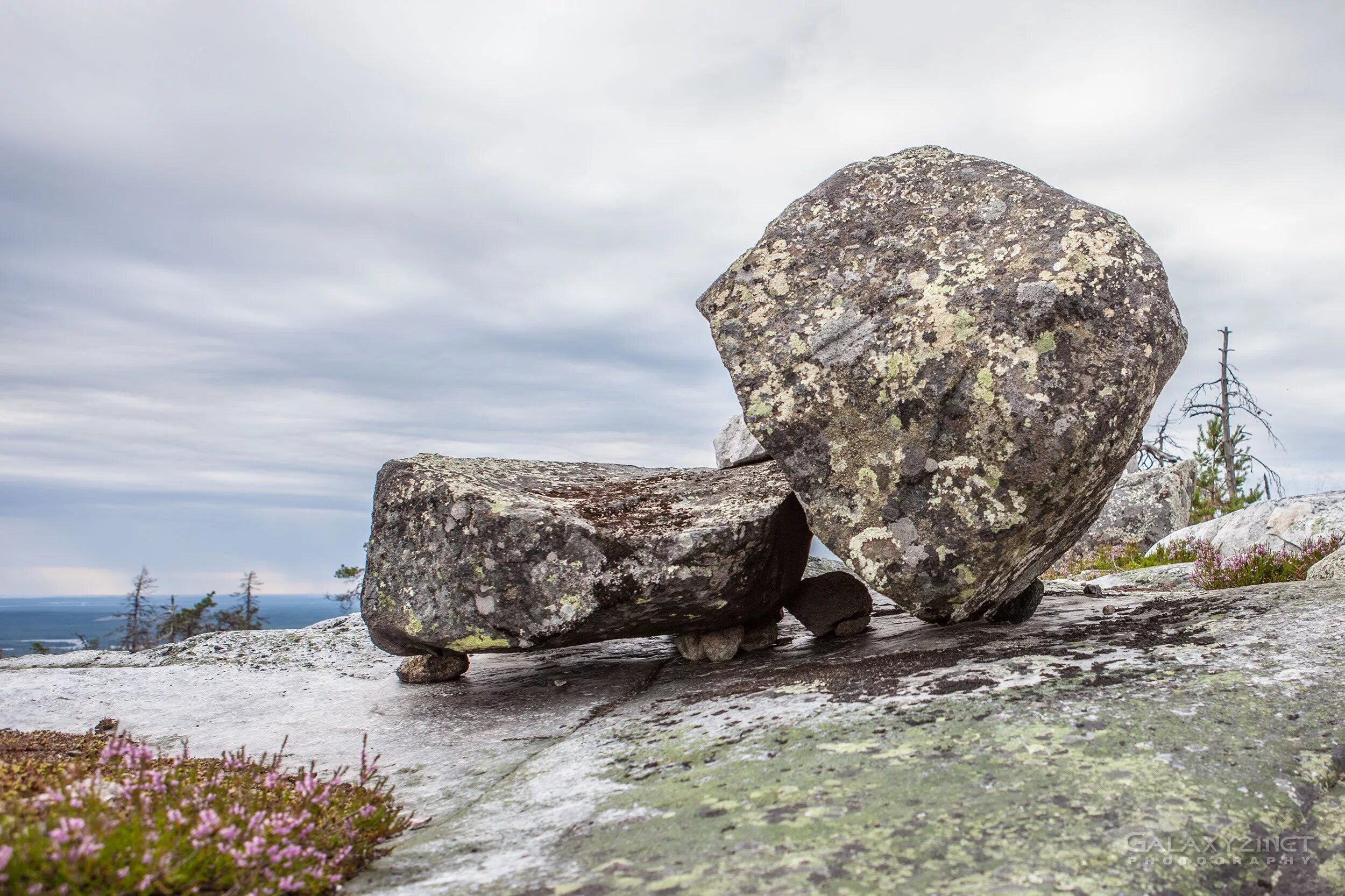 Воттоваары камни карелия. Карелия какие камни. Карелия валуны. Шунгит аспидный камень. Шунгит минерал необработанный.