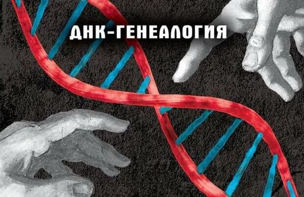 Днк на родословную. Днк генеалогия. днк генеалогия клесов. днк родословная. генетик родословная днк.
