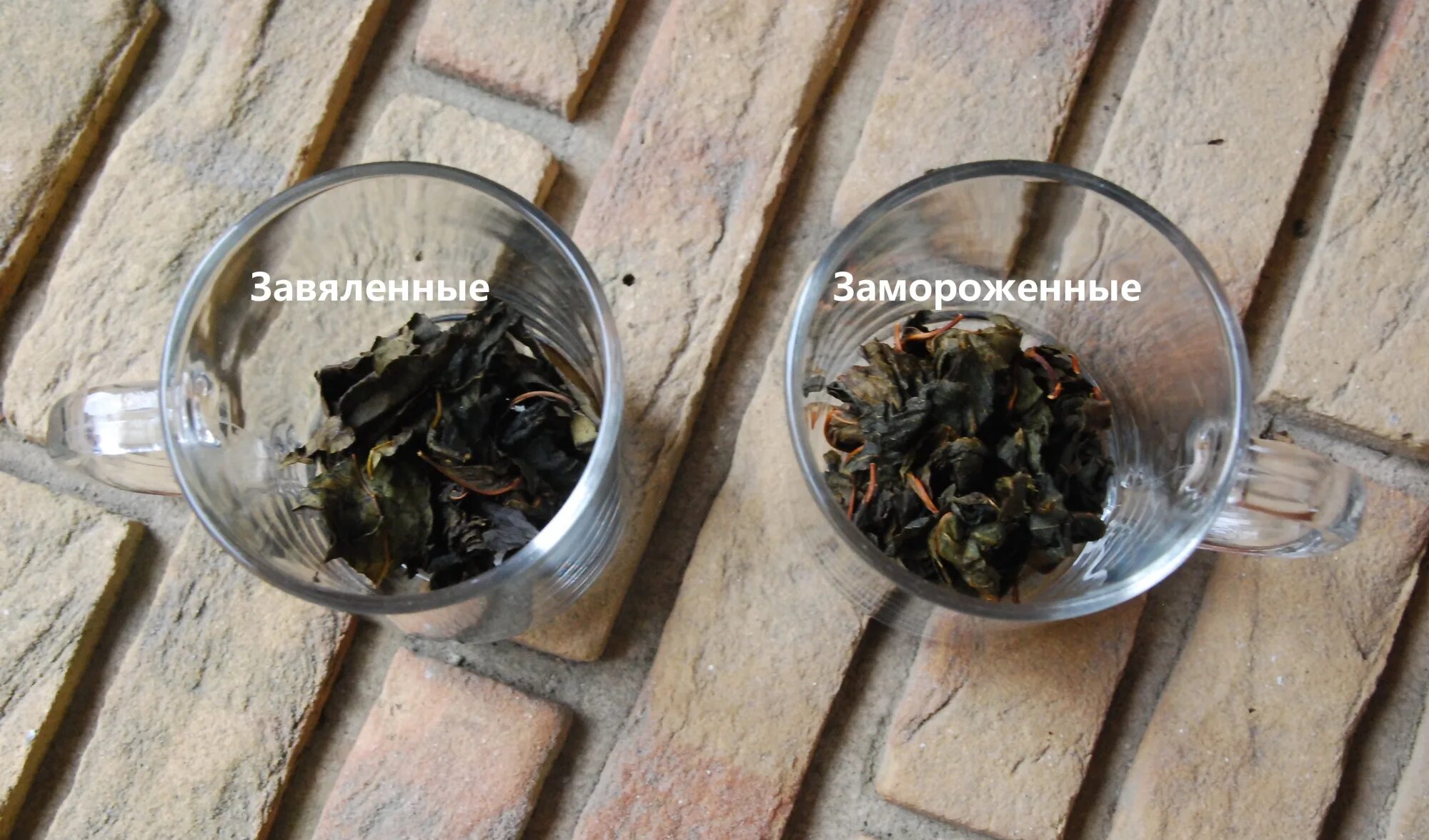 Как приготовить ферментированный чай из листьев. Ферментация листьев вишни. чай из листьев вишни ферментированный в домашних. ферментация листьев для чая вишни. ферментация вишневых листьев домашних условиях.