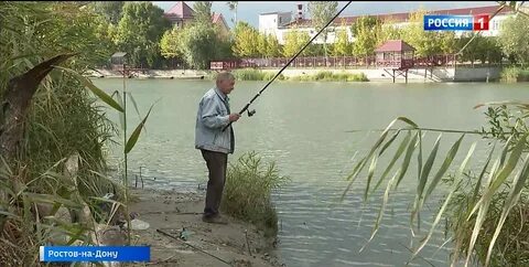 Дон прудом