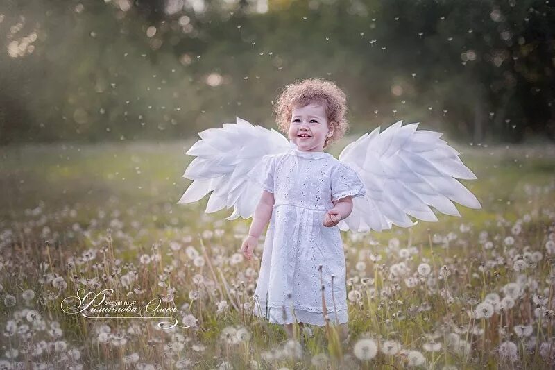 Ангелы нэнси ноэль. Ребенок с крыльями ангела. Картины художника вячеслава грошева. Красивые младенцы девочки. Дитя ангела.