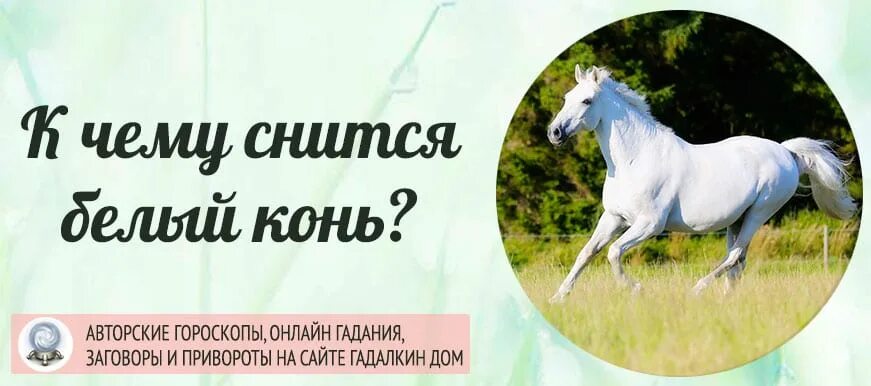 Толкование снов к чему снятся лошади. Сонник к чему снится лошадь. Лошадь во сне к чему снится. К чему снится конь лошадь. К чему снится белый конь.