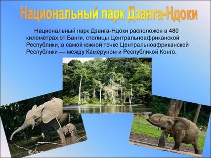 Страны и их парки