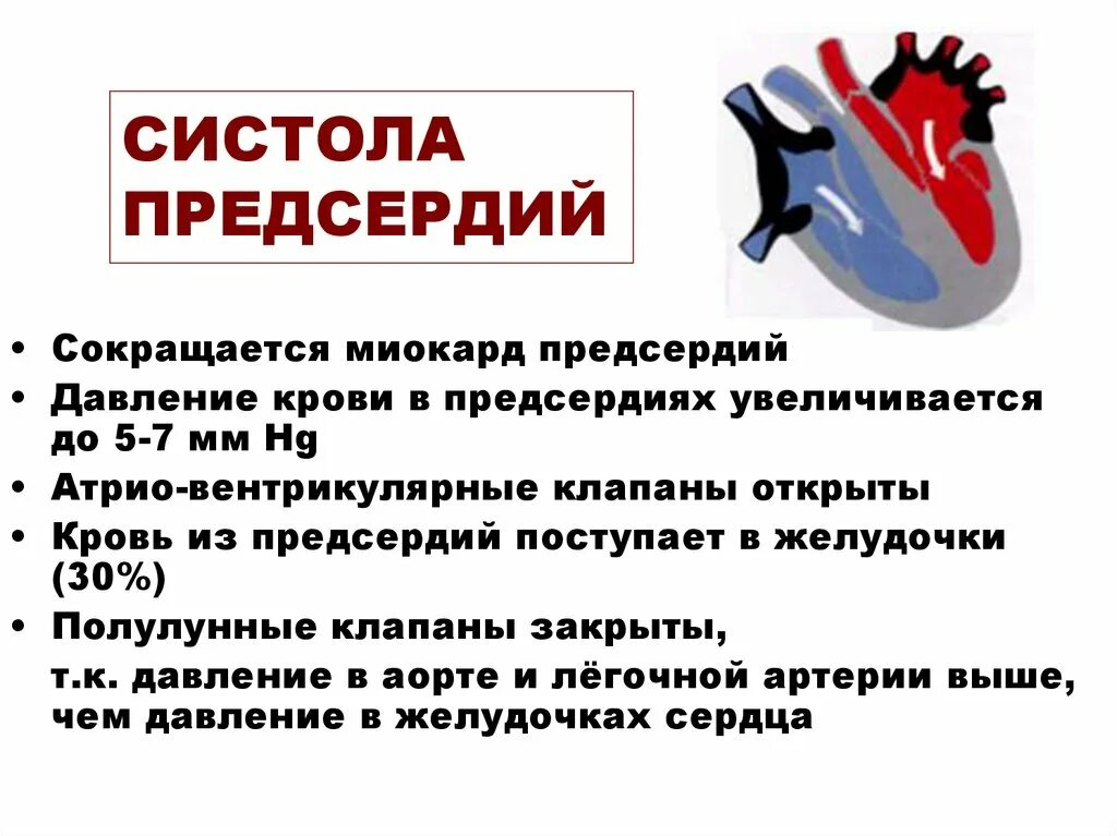 Фазы систолы предсердий. Систола предсердий. давление в систолу предсердий. систола сердца. систола желудочков.