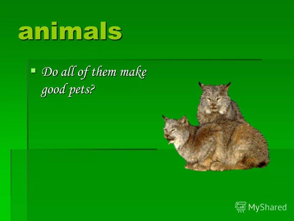 Dog reading comprehension. Boys make good pets картинка. Why do people keep pets. майка good boys. Boys make good pets.