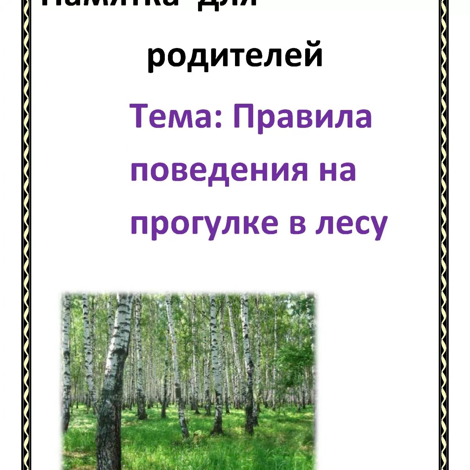 Правила поведения прогулки в лесу. Правила поведения в лесу. памятки лес летом. памятка для родителей в лесу. памятка поведения в лесу.