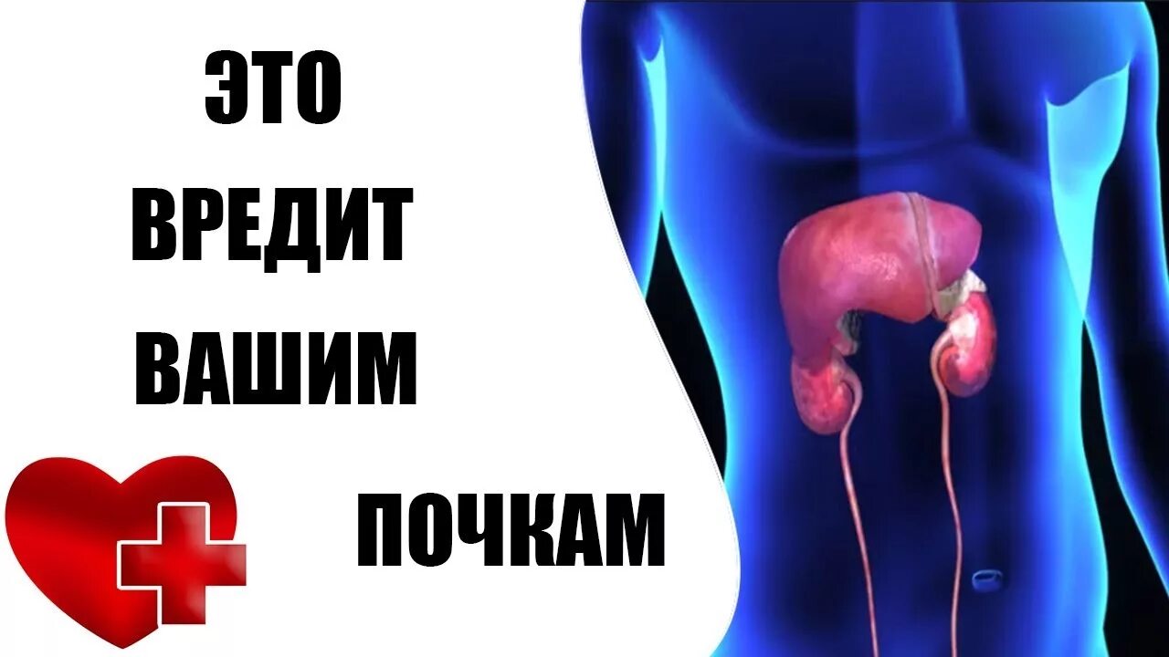 Самые вредные продукты для почек. Враги почек. Продукты вредные для почек. Что полезно для почек. Полезная еда для почек.