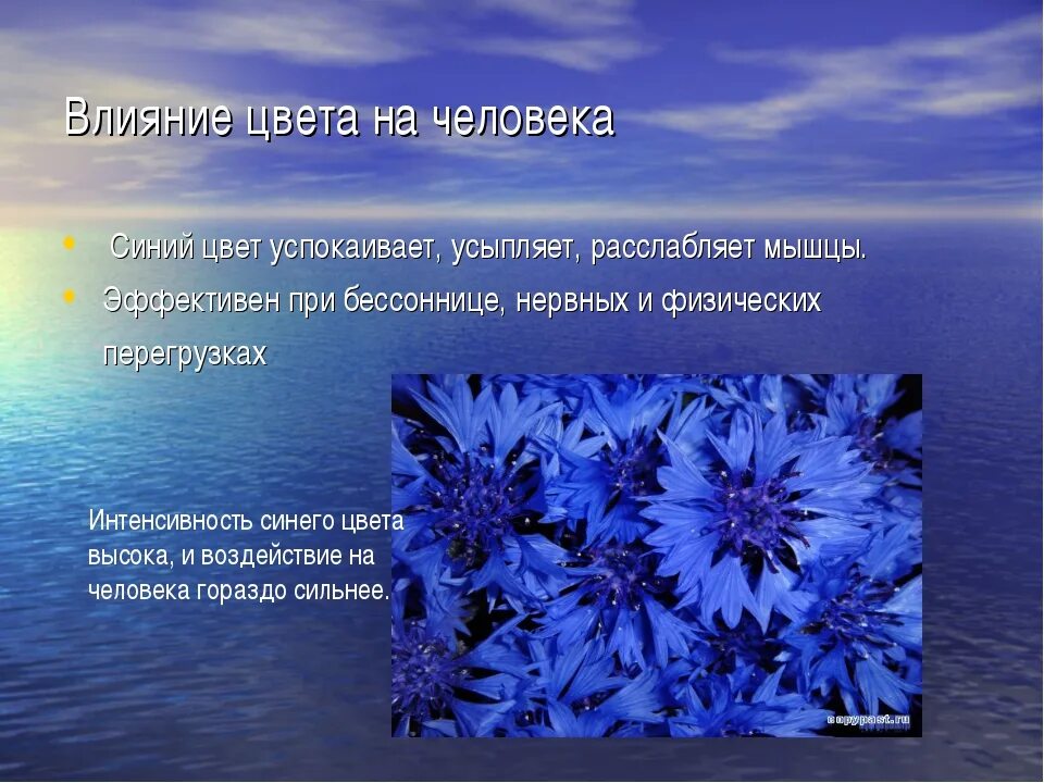 Iсиний цвет в психологию. Синий цвет в психологии. Влияние голубого цвета на человека. Психология синего цвета для человека. Действие на человека гамма