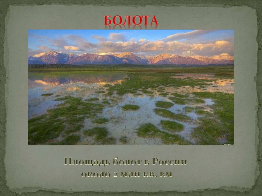 Территории болот в россии. Площадь болот в России. Болота России на карте. Названия болот в России. Карта озер и болот России.