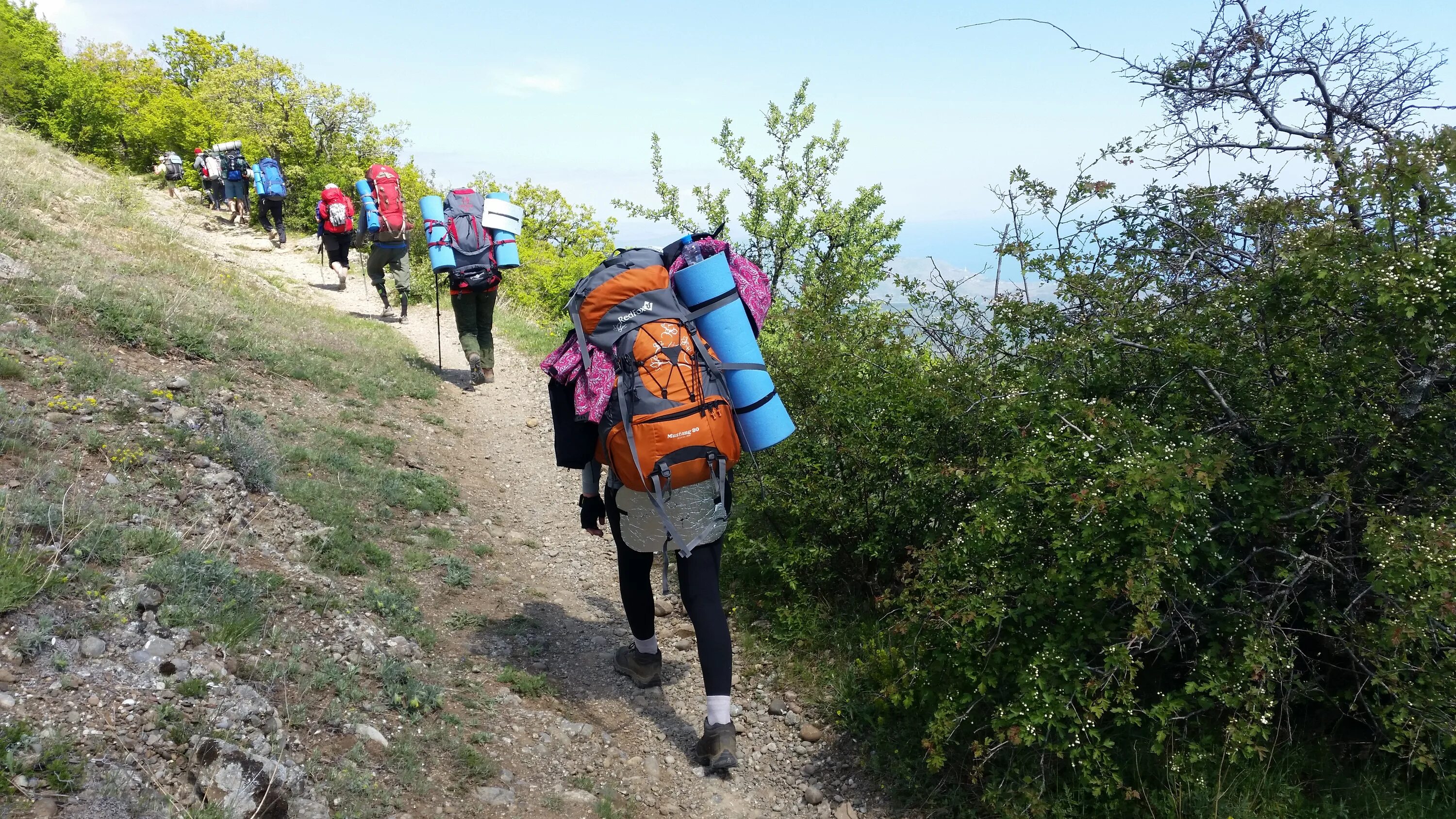 Международная корейская экспедиция в россии. Рафт рафтмастер. Пешеходные походы кузнецкий алатау. Экспедиция тв2 каргасок. Экспедиции лето.