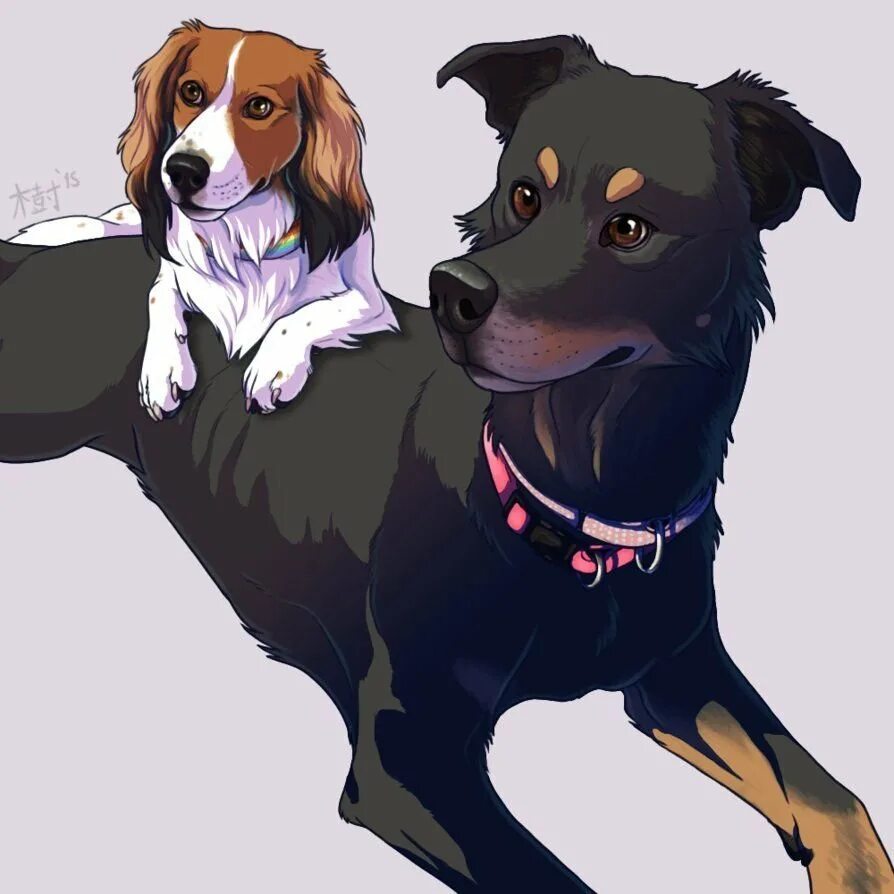 Фэнтези животные. Сириус блэк черный пес арт. Арты собак. Аки арт. Арты псов.