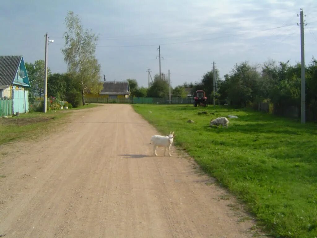 Дома поселок совхозный