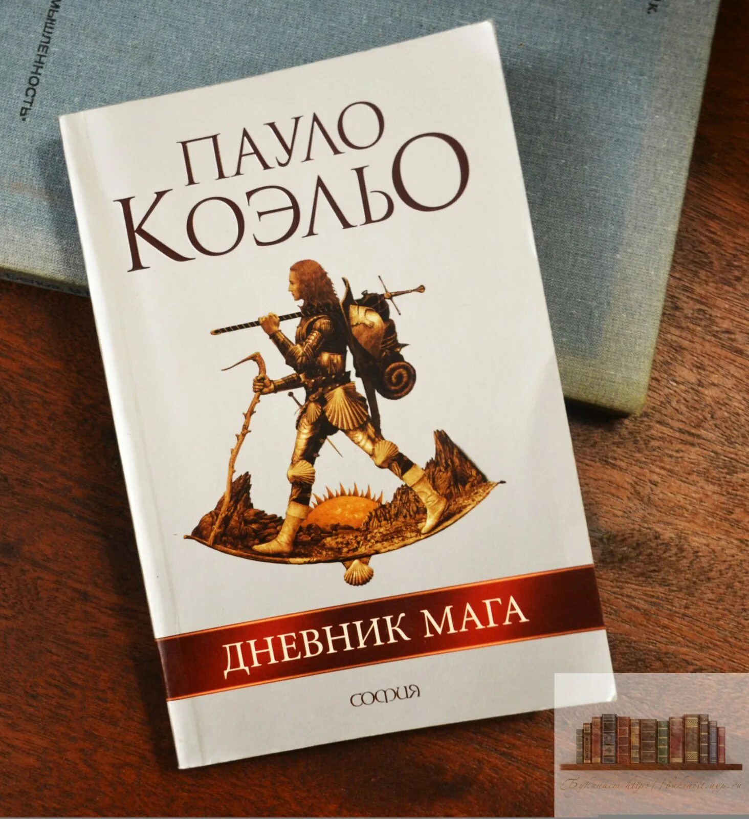 Книги пауло дневник мага