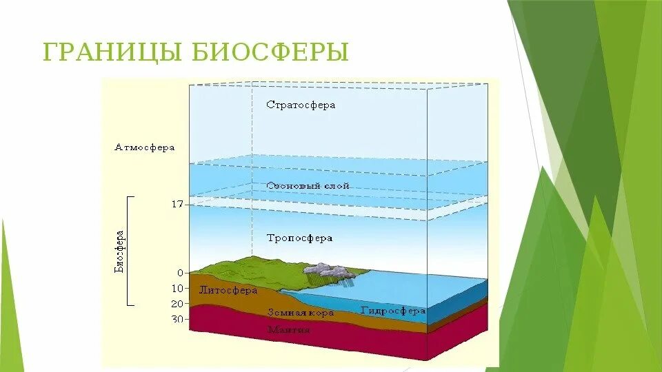 Биосфера оболочка земли. Границы биосферы. 6 Класс география. Схема границы биосферы 6 класс география. Границы биосферы 6 класс география. Нарисуйте схему границы биосферы. Что делает биосфера