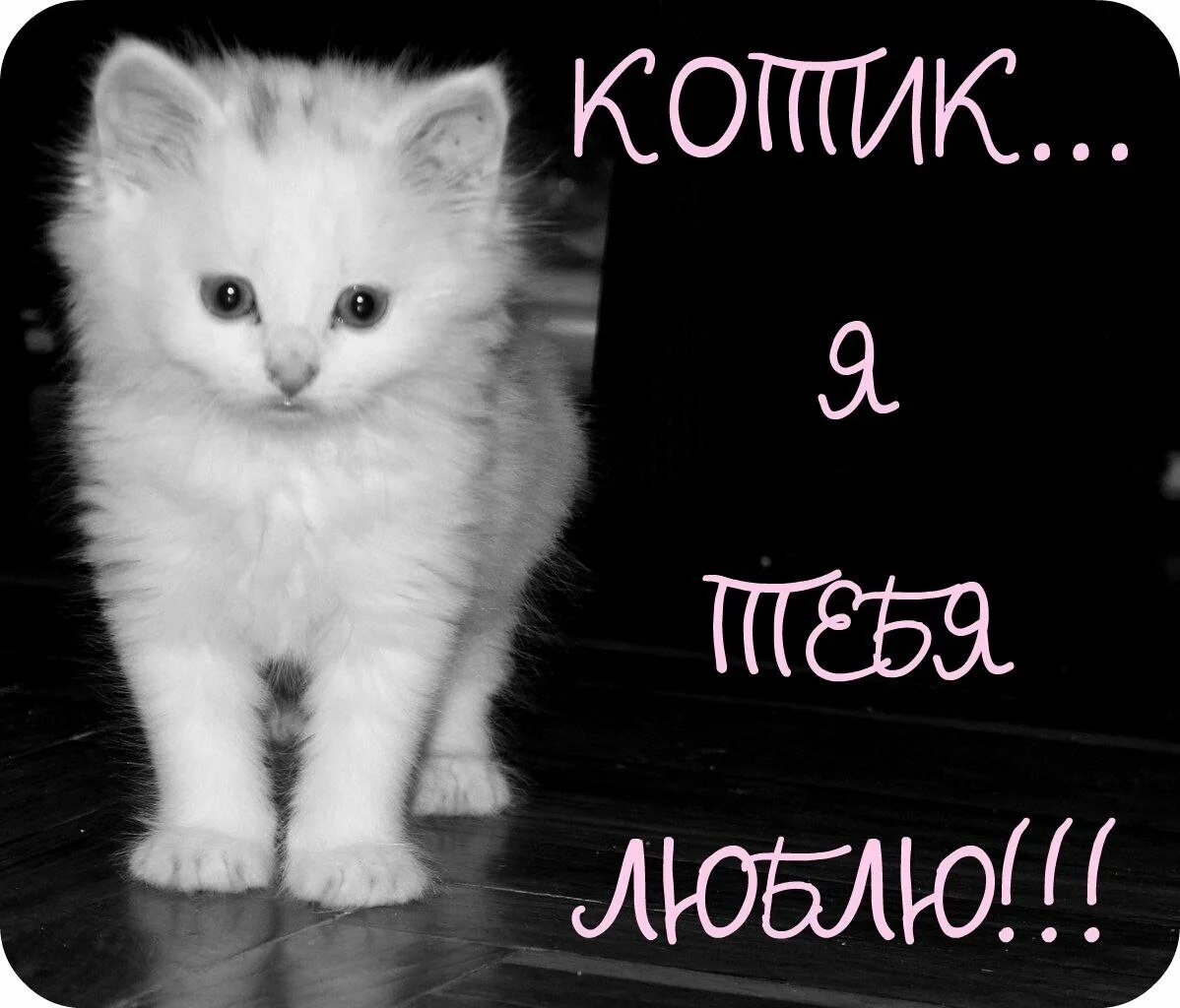 Открытка грустно. Скучаю по тебе котенок. Милые котики с сердечками и надписями. Ты не один милый. Рисунок не грусти.
