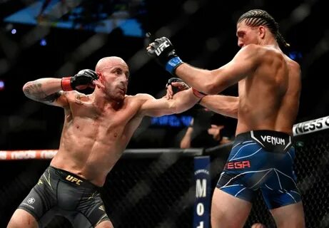 Телеграмм боев ufc