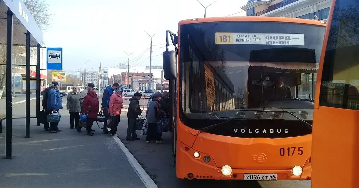 Дачный автобус. Дачные автобусы оренбург 181. Дачные автобусы оренбург 181. Дачные автобусы оренбург 181. Дачные маршруты оренбург.
