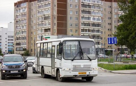 Автобус 181